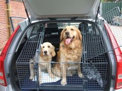 dog tailgate guards for sale